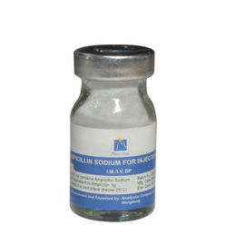 Ampicillin Sodium Dry Powder การฉีดยาแก้อักเสบ 0.25g, 0.5g, 1.0g